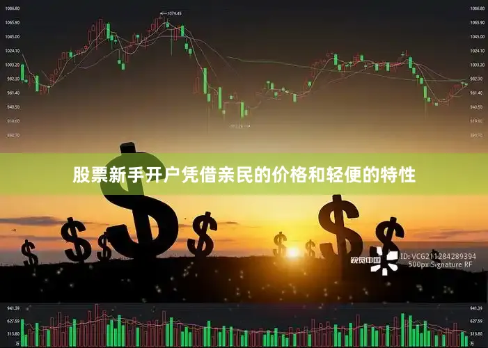 股票新手开户凭借亲民的价格和轻便的特性